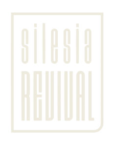 MEDS_Silesia_logotype_allversions_Obszar roboczy 1 kopia 4 MEDS_Silesia_logotype_allversions_Obszar roboczy 1 kopia 4