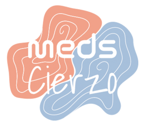MEDS-Logo_Mesa-de-trabajo-1-1